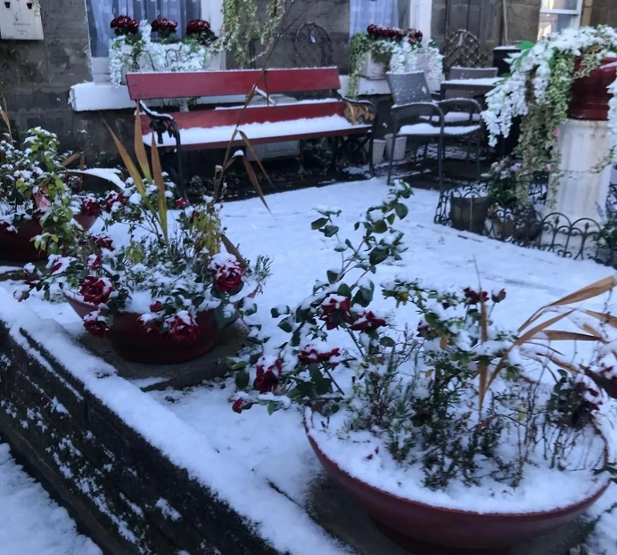 16 Pilrig Guest House Edinburgh Bed & Breakfast